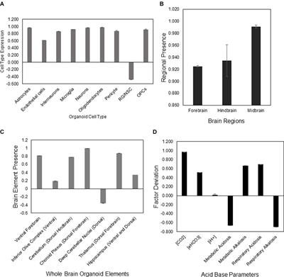 NEUBOrg: Artificially Induced Pluripotent Stem Cell-Derived Brain Organoid to Model and Study Genetics of Alzheimer’s Disease Progression